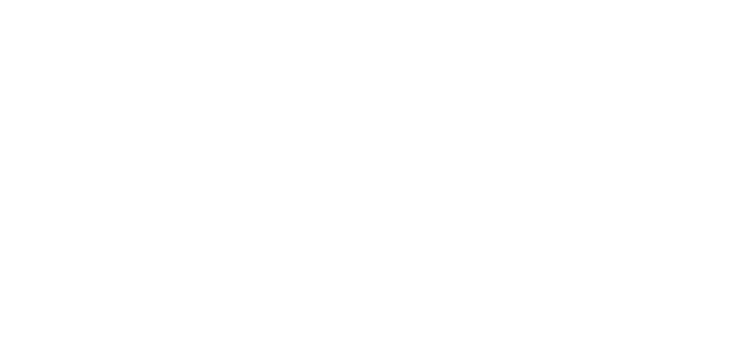 Bright Wedding logo2
